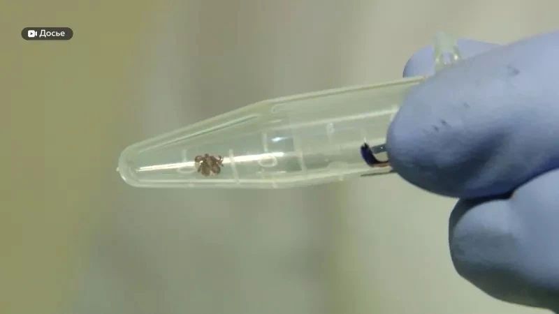 � ������ ��������� ���� � ���� � ���� ����� ����� ������ ������