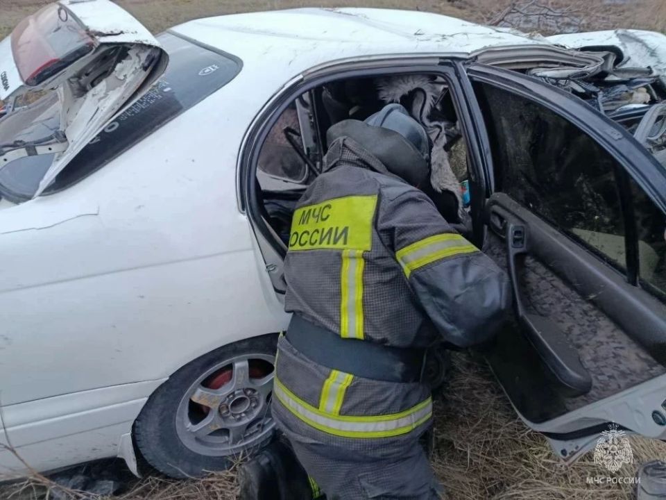 � ��������� ���� �������� �������� ����� � ������ ����� ��� � ������