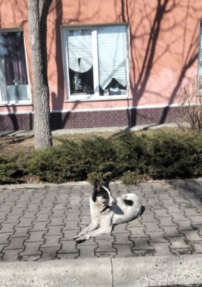 ������� ��������� ��������!