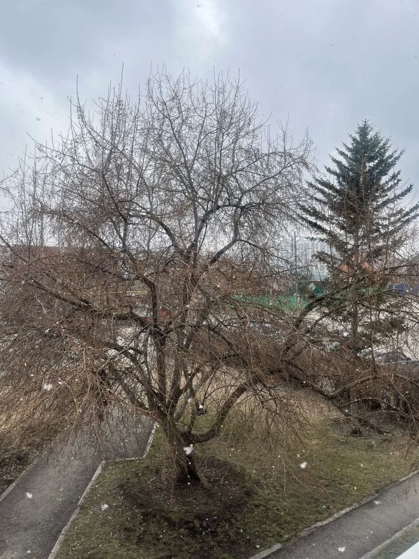 ��� ����� �������� ����� � ��������� ����