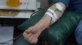 Алтайские врачи вынуждены утилизировать донорскую плазму из-за забывчивости добровольцев