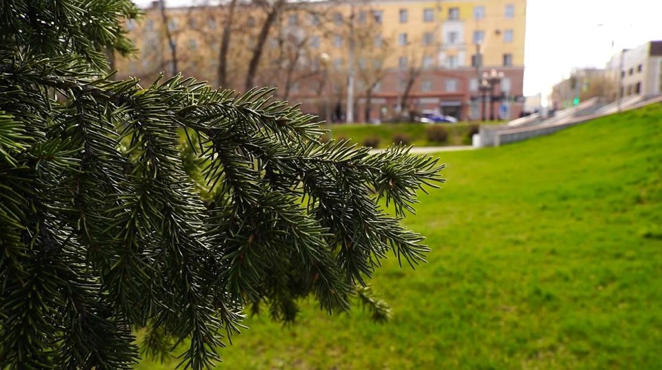 ������������ ���������� ����� � ��������� ����