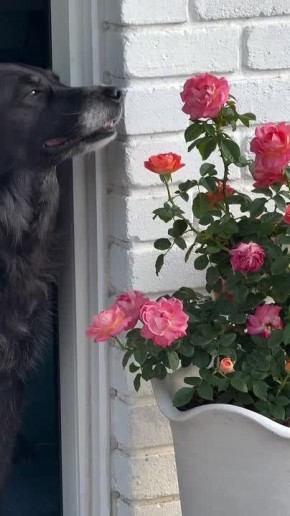 ������ ����, ��������� ����!