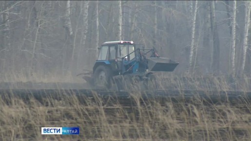 Сегодня в крае официально начался пожароопасный период