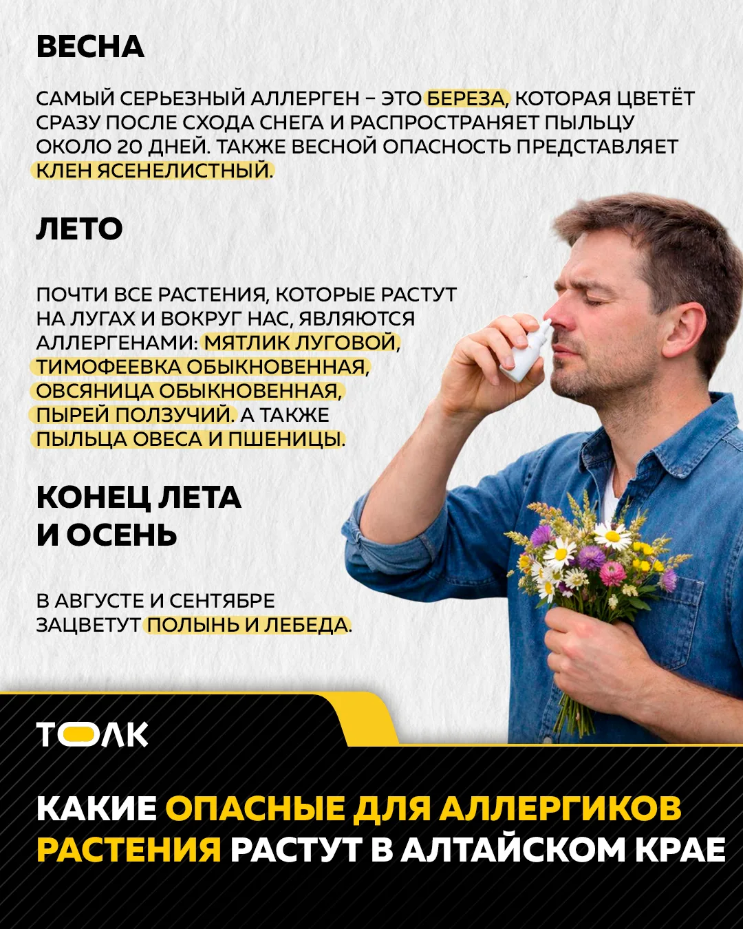 В Алтайском крае начался сезон опасных для аллергиков растений