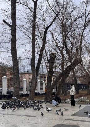 ������������� ���� �������� � �������� ����������!