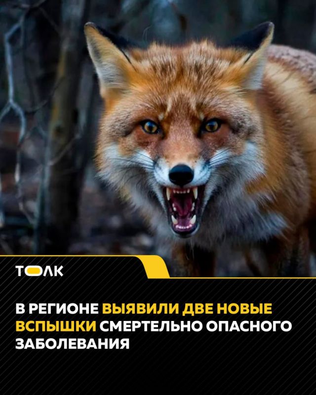 ����� ������������� "������": 50 ������ ��������� ����� �� ���������� ���������� ����