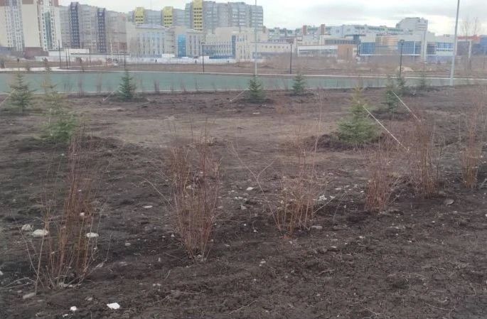 � �������� ��������� ��������� ������������ ���������� ����� ����