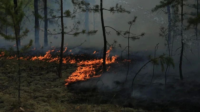 � 16 ������ � ��������� ���� ���������� ������� ������������� �����