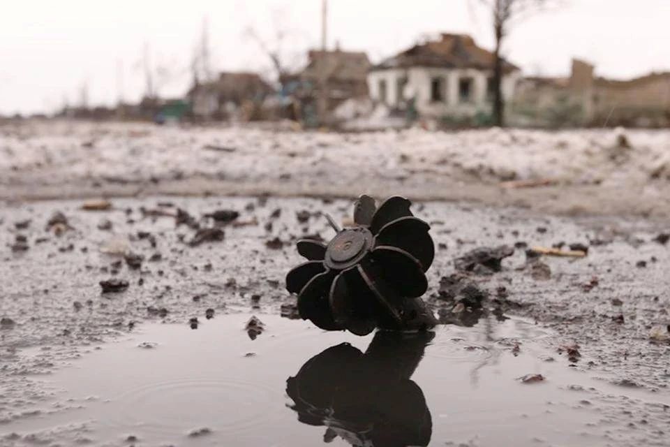 ��� ������� ����� 30 ������ �� ����������� ���������� ������� �� �����