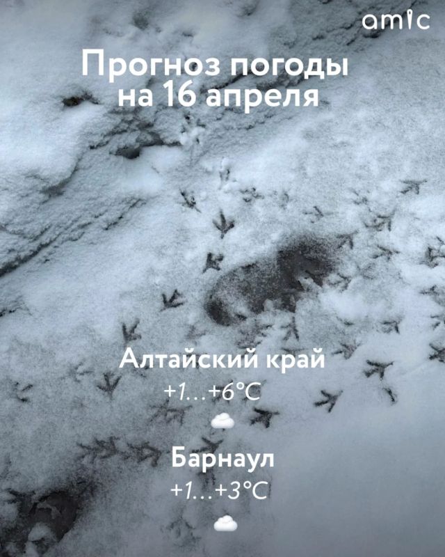 ����� �������, �������� ����