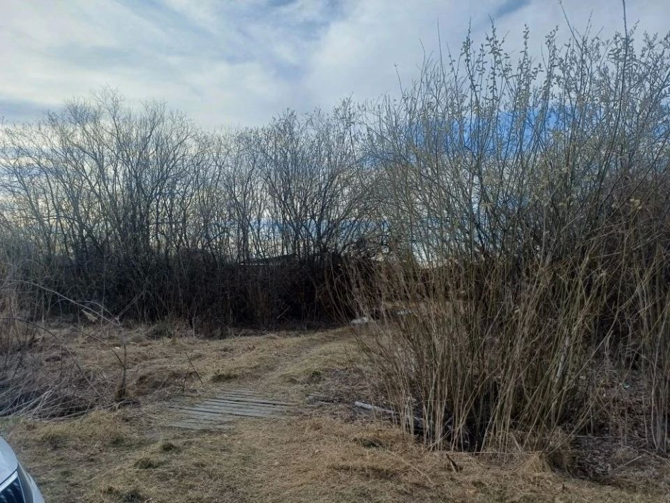 ���������� � ����� ���� �������� ���������� ������ ����� � ������