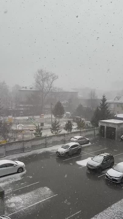 ��� ����� ��� ���� ����?