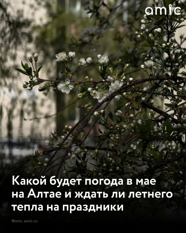 ������������ �������� �������� � ���, �������� ���������������� ��������, � ��������� ���� �� ���������