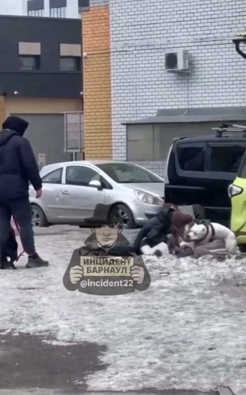 ������ ��� ���������� ���� �� �������� �������� � ��������