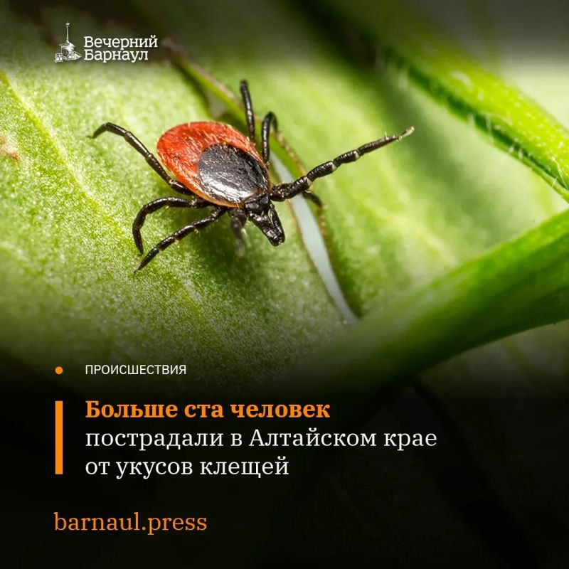 �� ��������� ������ � �������� �� ����� ������ � ����������� ���������� ���� ���������� 100 ������� �������