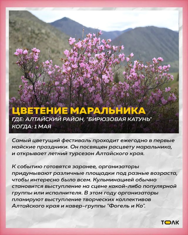 ����� 10 ���������� ��������� � ��������� ���� � 2026 ����