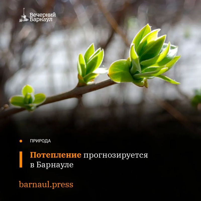 �������� ��� �� ���������� ������� ���������� ���� ����� �����������, �� ���������� �������� ����������� ������ ����������� �� ����