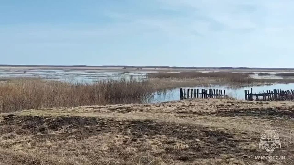 ���� ���������� ���������. ����� ������������ ����� � ��������� ���� ����������� �� 127