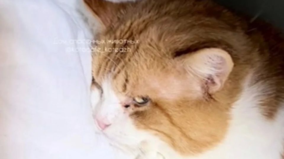 ���������� ������� ���������� ��������, ��������� �� ����� ���������� � ���������