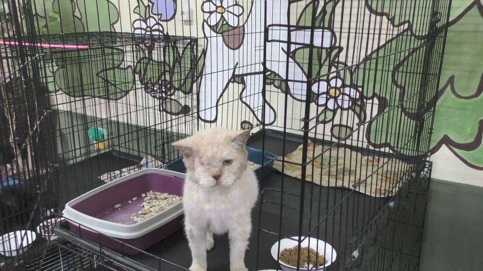 ���������� ����� ��� �������� �������� �� ���� �����