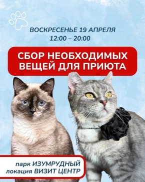 ����� "�������" ���������� ������������ � ������������������� � ��������� � ����� "����������"