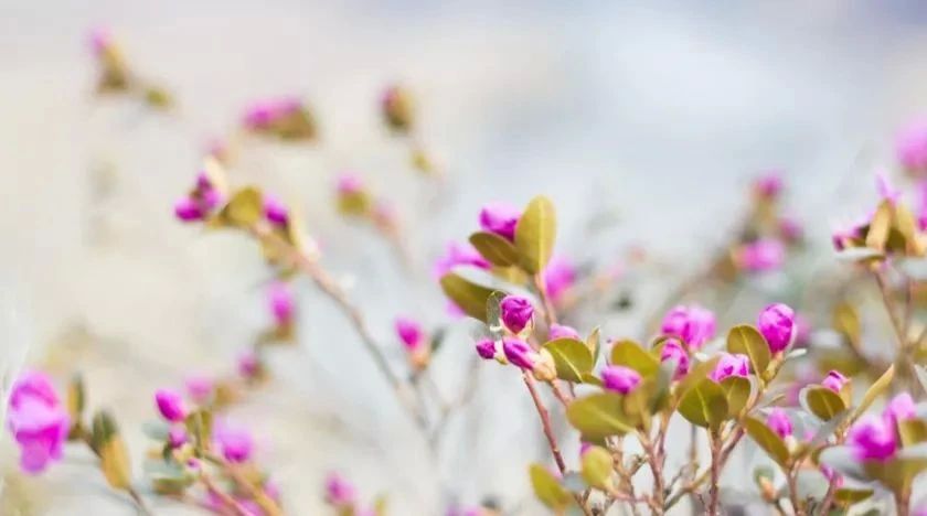 ����� ������ ����������� - ������������, ����������������, �������������, ���������� � �������������� - ������ � ��������� ���� � ��� �� �������� 2026 ����. � ����� ����� �������� ������ ������ ���