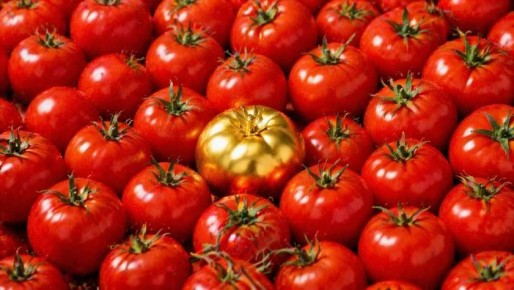 ��������� ��������� � ��������� ���� ����� ������� ������ 2026 ����