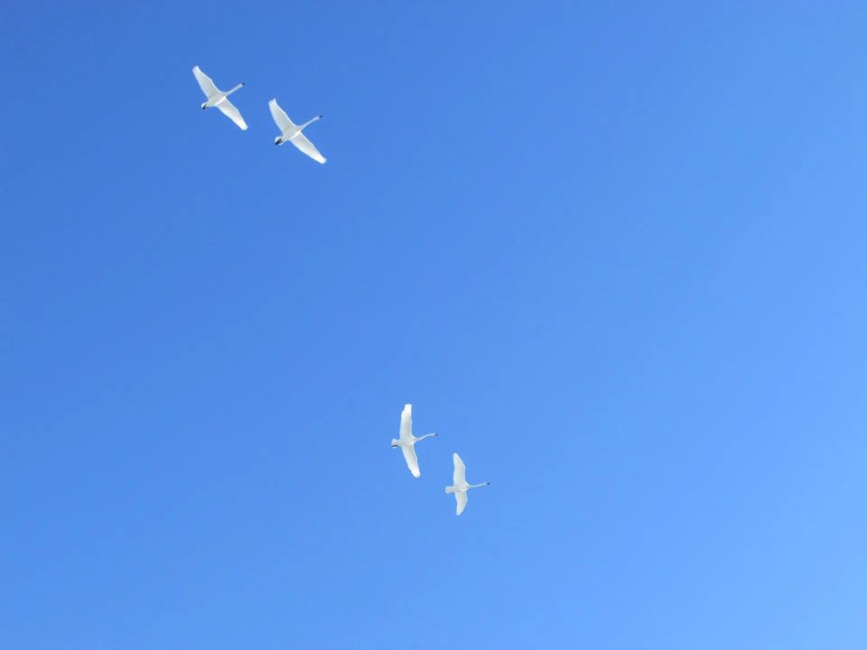 ��� ��������� ������ � ���������� ����� amic.ru �� ������ ����� ��������� ���������� �� ���� ����������� �� �������� ����� �������� � ��������, ����� ����������, ��� ���� ��� ��� ���� ���� � ���������� � ����