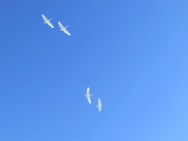 ��� ��������� ������ � ���������� ����� amic.ru �� ������ ����� ��������� ���������� �� ���� ����������� �� �������� ����� �������� � ��������, ����� ����������, ��� ���� ��� ��� ���� ���� � ���������� � ����