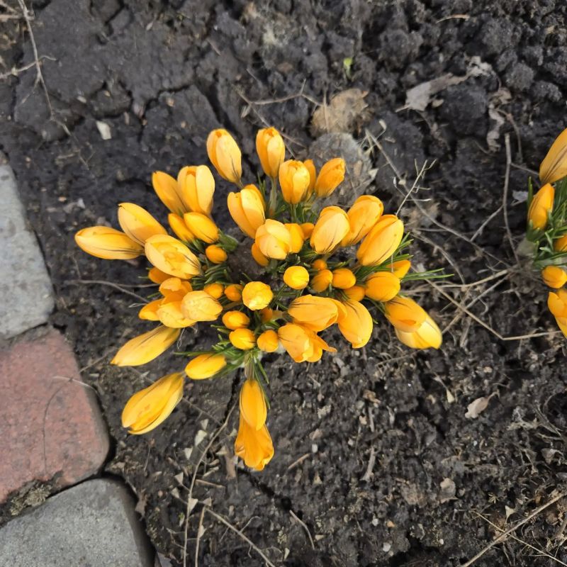 ���������-�� �����! . ������� ������ � ������������ ��������