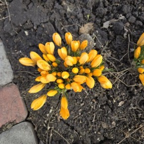 ���������-�� �����! . ������� ������ � ������������ ��������