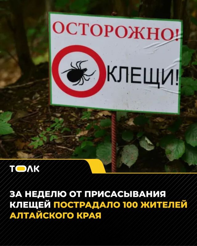 100 ������� ���������� ���� ����� �������� ������ �� ������