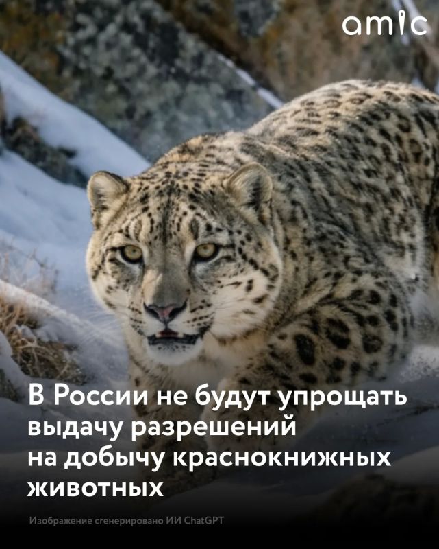 ����� � ���, ��� � ������ ����� ��������� ����� �� �������� �� ������� �����, �� ������������� � ����������� ������� ��������� ��������, � �������� �� ������� ���������� ������ ���� ����������