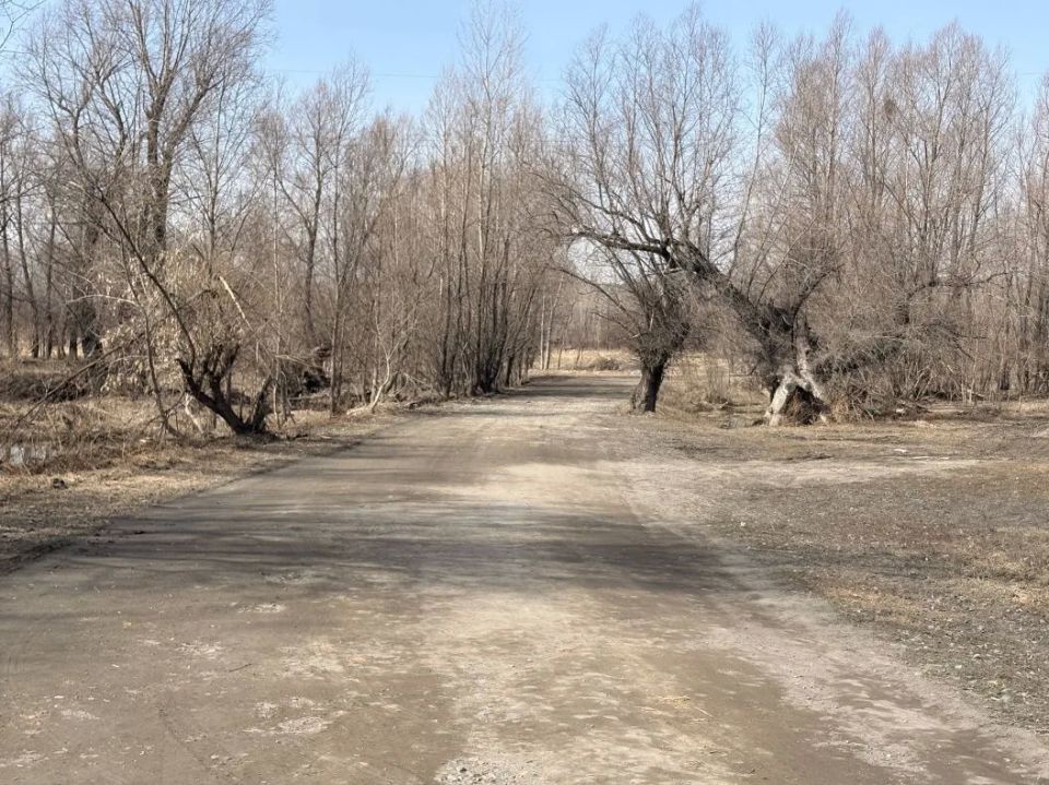 � ������������ ����������� ����� ������� �������� �� ������ �� ������ ���������