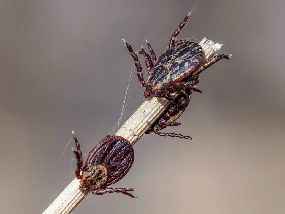 ����������� � ���� �� �� ����� �� ������