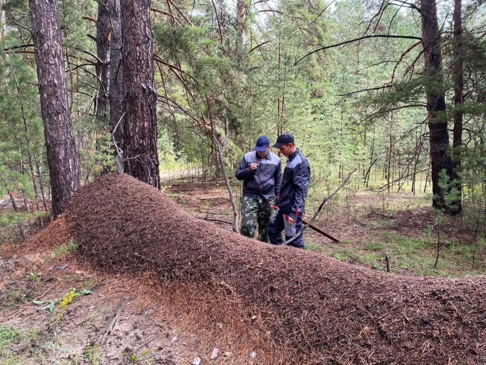 �� ����� ����� ���������� ���������� ������ ������ 10 ������