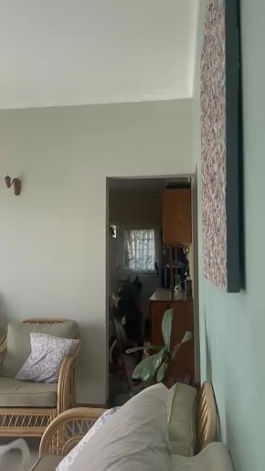 � ��� ������� ������� �������, ������� ����� � ���