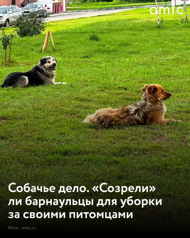 ������ � ������� ������� ��������, "��������, �� �� �������� ������ ������" � ��� ������������� ������ � �������