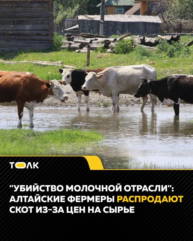 �������� ������� ���������� ���� ���������� ��������� �������