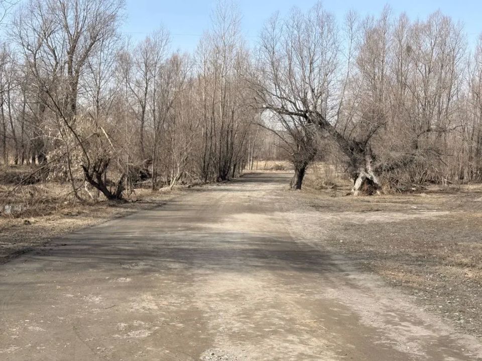 ������ ���������� �� ������ �� ������ ��������� � ������ �����������