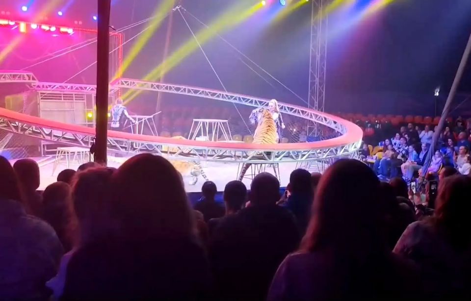 ���� ��������� �� ������� ����� �� ����� ����������� � �������-��-����