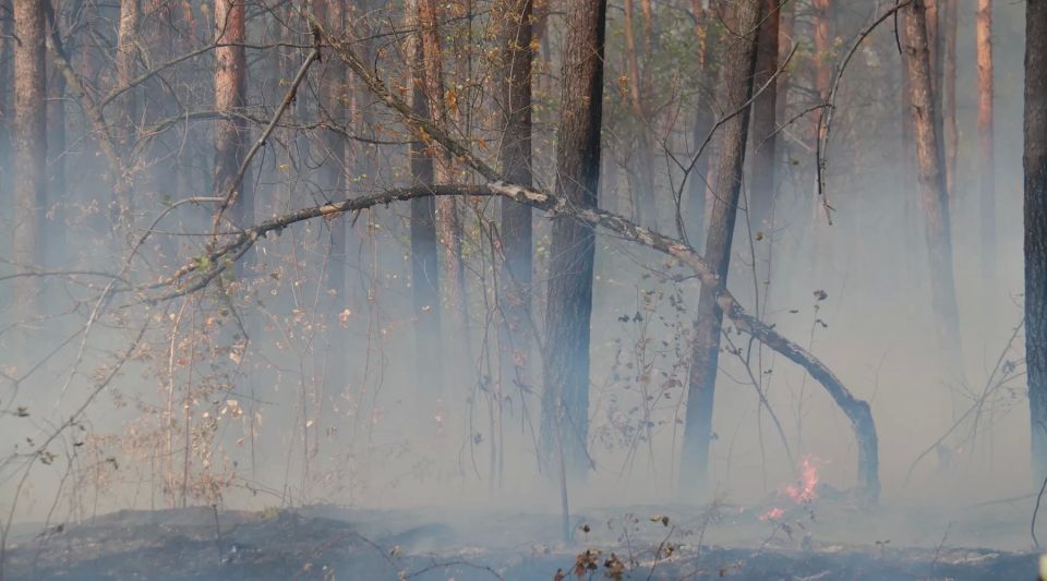 � ��������� ����, ������ �� 23 ������, ������� ��������� ������� ��������������� (4 �����)