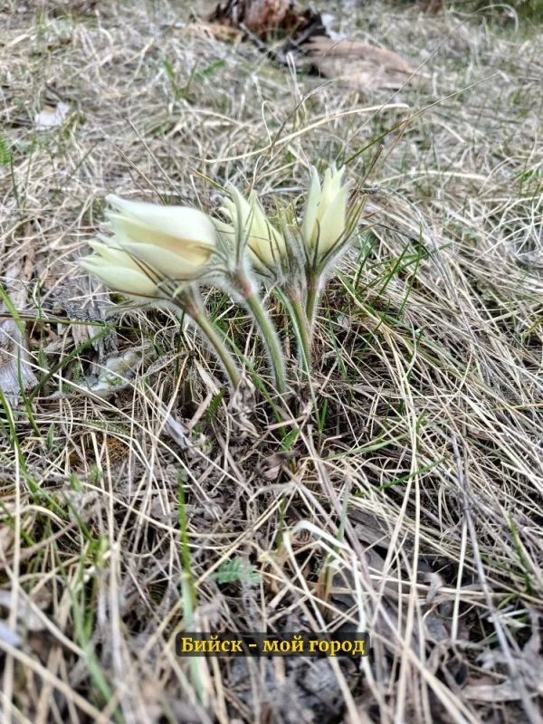 �� ����� ��������� ��������� �� � ������ �������� ��� ����� �������