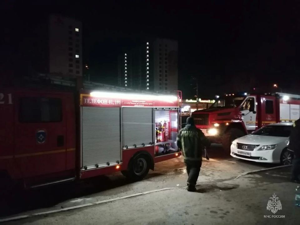 ����� � �����������������: 14 ���������, ������� �������