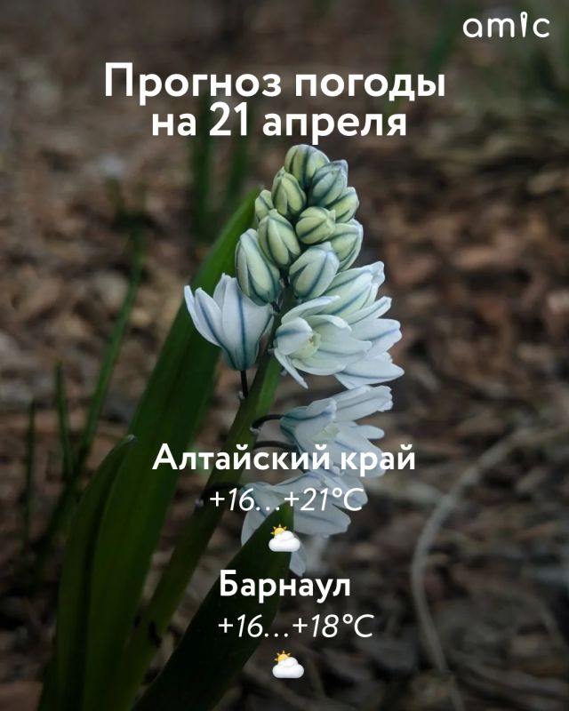 �� �������, 21 ������, � ��������� ���� ��������� ���������� � ����������� ������� ���������� �� +21�C