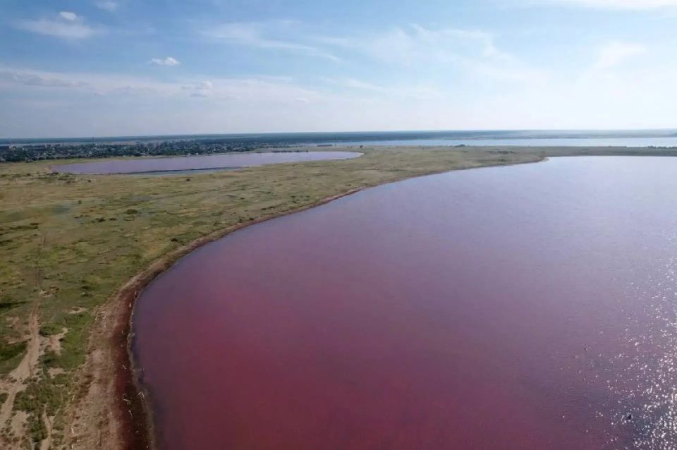 ����� ���������� ����� ���������� ���������