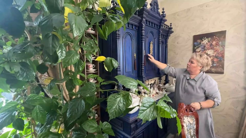 ������������ �������� ������� � ���� ���� ������ ����������� � ������������ ������������ ����� ��� ������