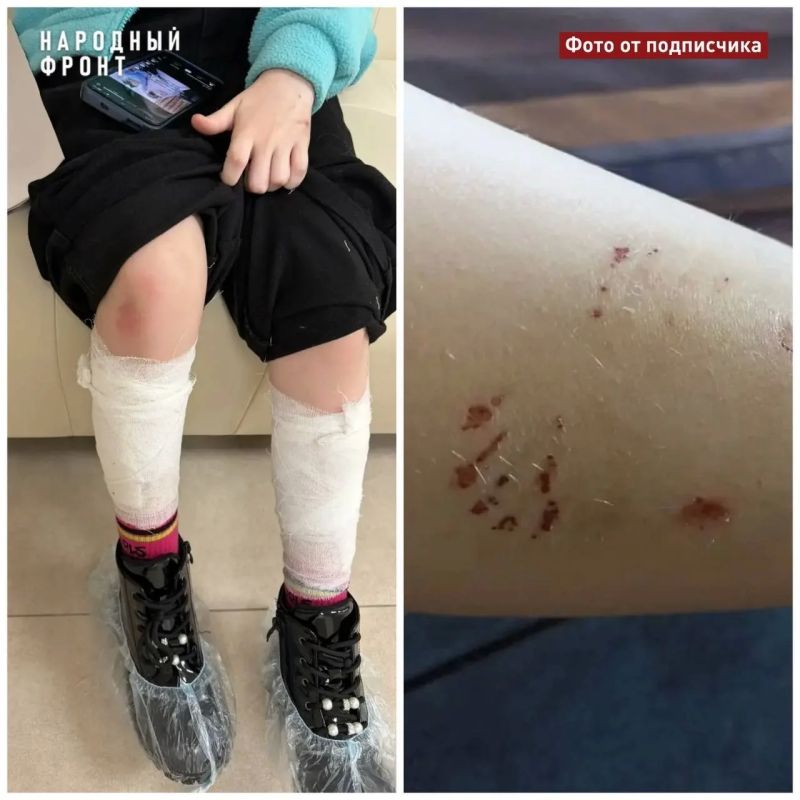 ��������� ������ ������ �� 9-������ ������� � �������