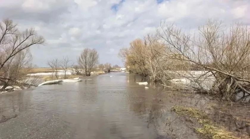 � ��������� ���� ��������� ������������������ ���������� �� ���� �����